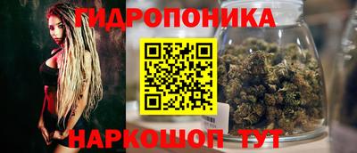 гашик Нальчик
