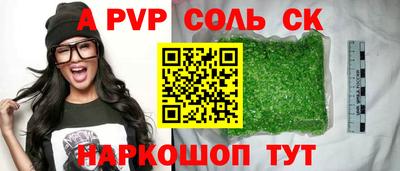 гашик Нальчик