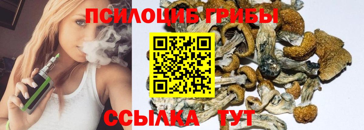 Псилоцибиновые грибы GOLDEN TEACHER Сосновый Бор